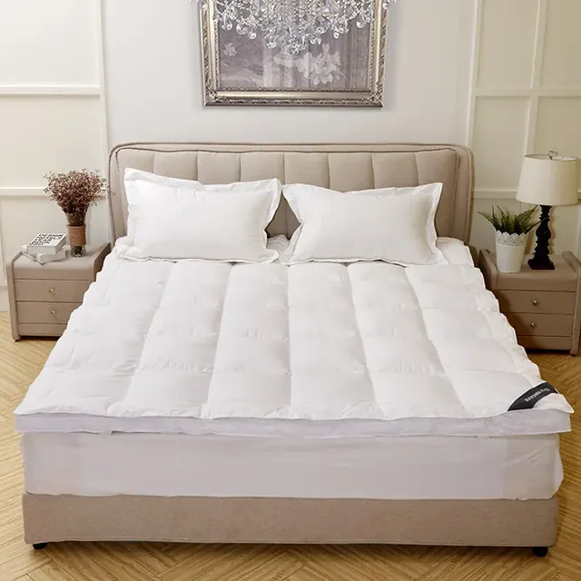 Warehouse Double Filling High Resilience Korean Double Layer Mattress Topper by FNH