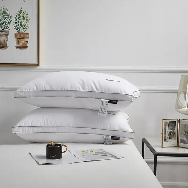 Brand Desingner Sets Plain White Hotel Pillow by FNH