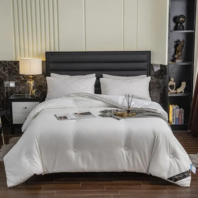 Warm Fluffy Hypoallergenic For All Season Alternative Quilted Hotel Duvet by FNH