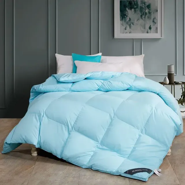 Ice Blue Queen Size Goose Down And Duck Down Filling Duvet by FNH
